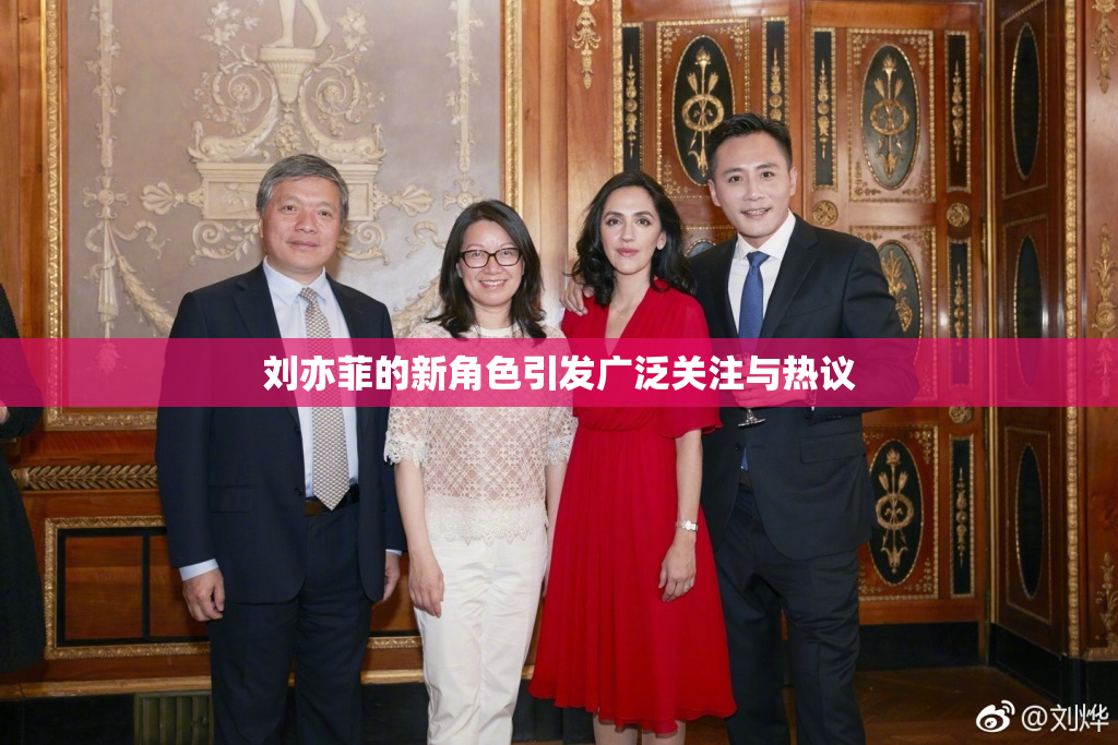 刘亦菲的新角色引发广泛关注与热议