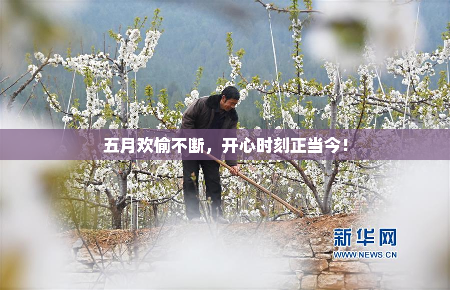 五月欢愉不断，开心时刻正当今！