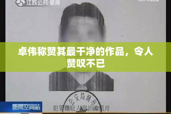 卓伟称赞其最干净的作品，令人赞叹不已