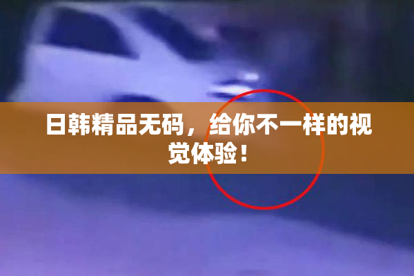 日韩精品无码，给你不一样的视觉体验！
