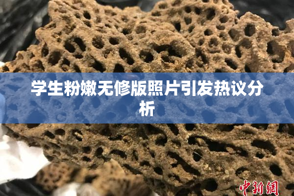 学生粉嫩无修版照片引发热议分析