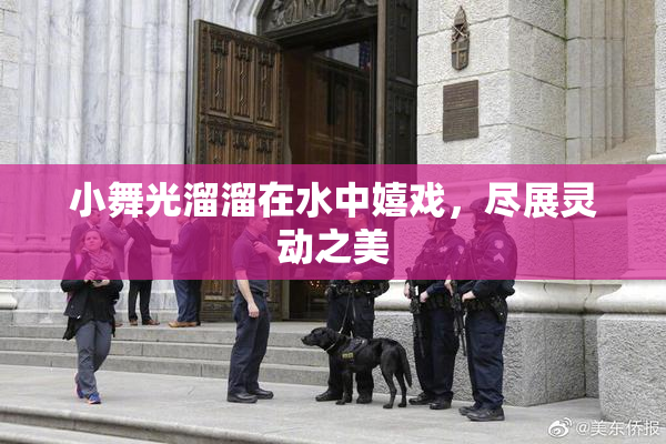小舞光溜溜在水中嬉戏，尽展灵动之美