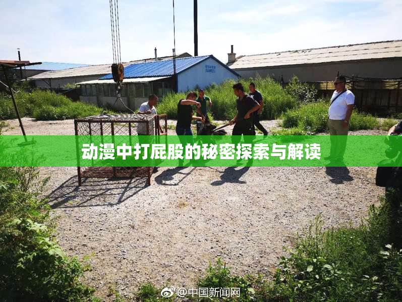 动漫中打屁股的秘密探索与解读