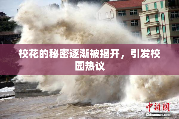 校花的秘密逐渐被揭开，引发校园热议