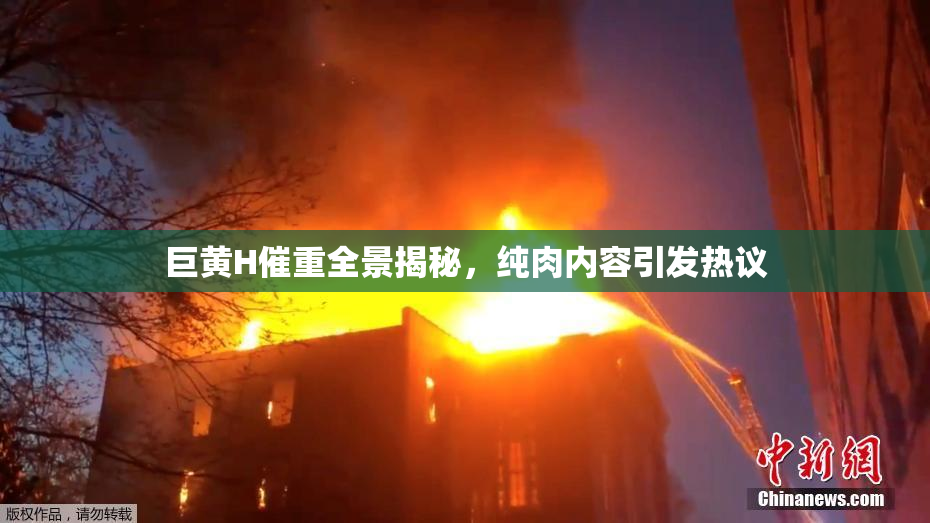 巨黄H催重全景揭秘，纯肉内容引发热议