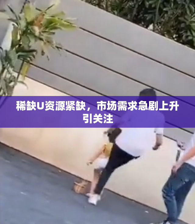 稀缺U资源紧缺，市场需求急剧上升引关注