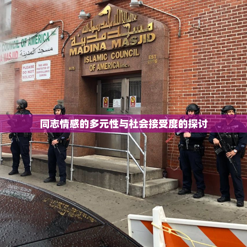 同志情感的多元性与社会接受度的探讨