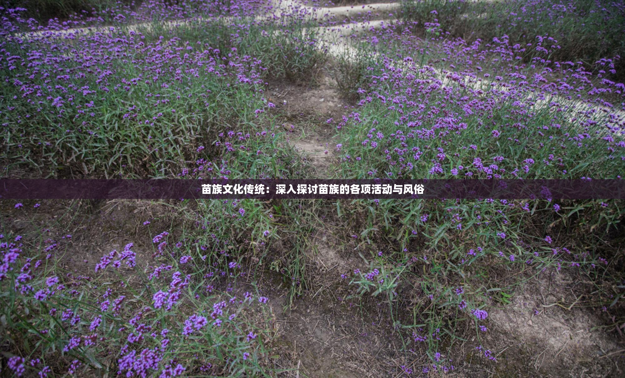 苗族文化传统：深入探讨苗族的各项活动与风俗