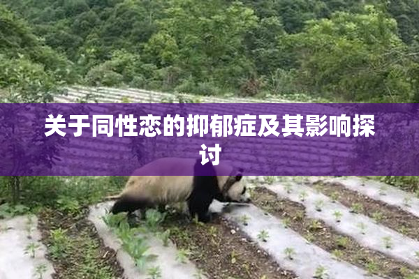 关于同性恋的抑郁症及其影响探讨