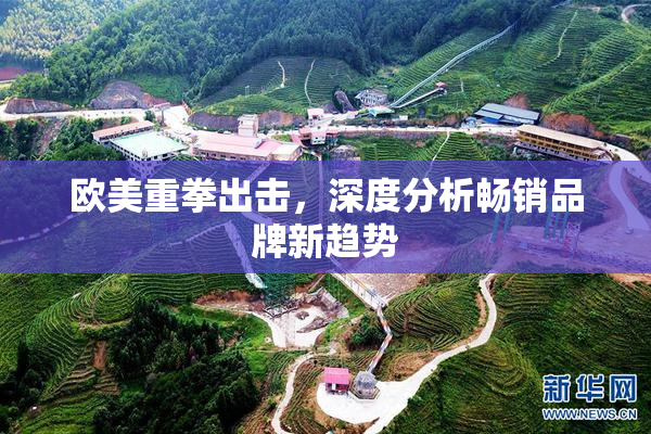 欧美重拳出击，深度分析畅销品牌新趋势
