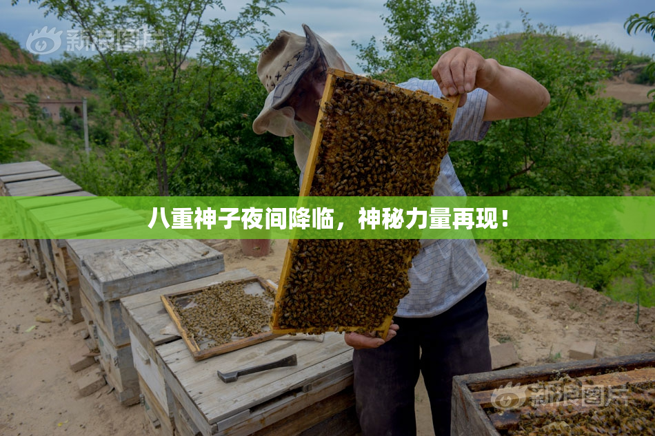八重神子夜间降临，神秘力量再现！