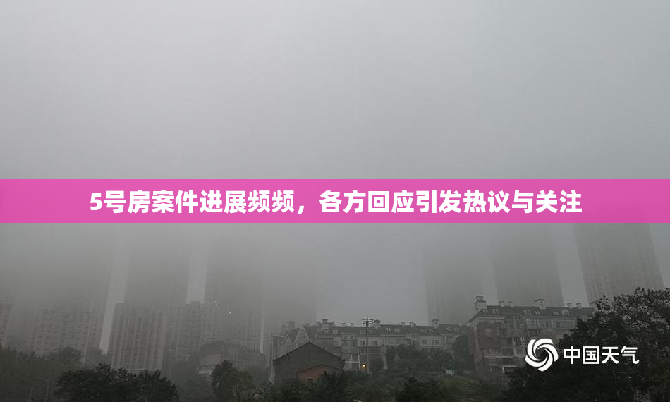 5号房案件进展频频，各方回应引发热议与关注