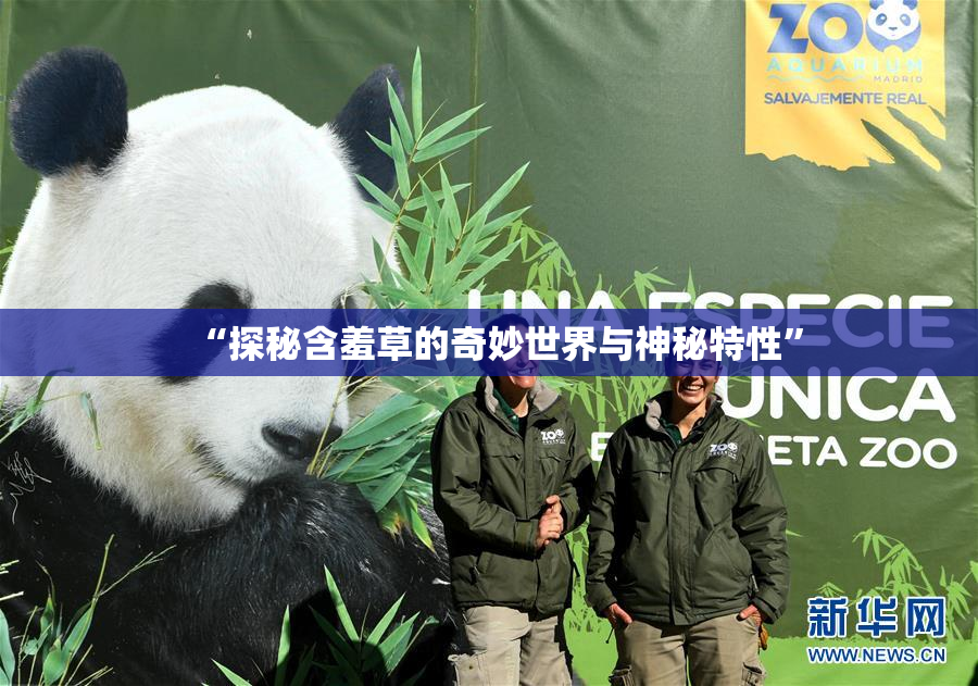“探秘含羞草的奇妙世界与神秘特性”