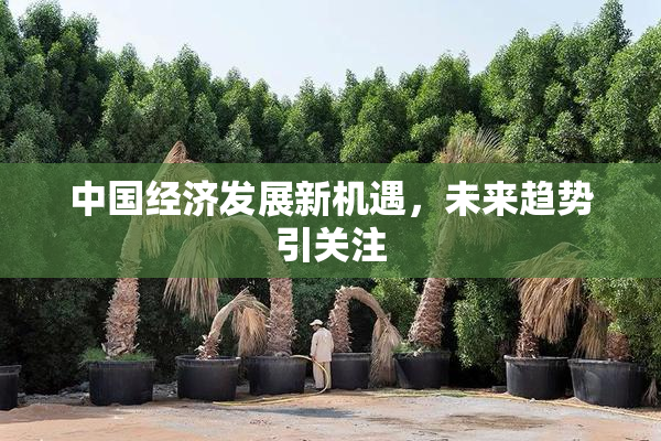 中国经济发展新机遇，未来趋势引关注