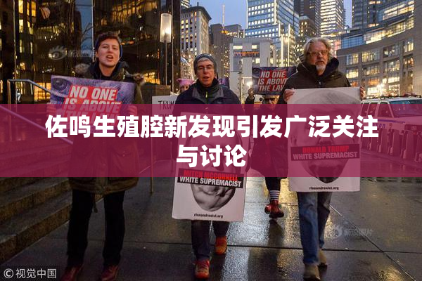佐鸣生殖腔新发现引发广泛关注与讨论