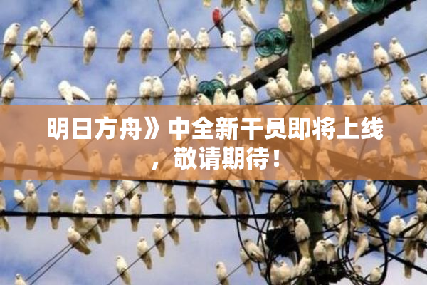 明日方舟》中全新干员即将上线，敬请期待！