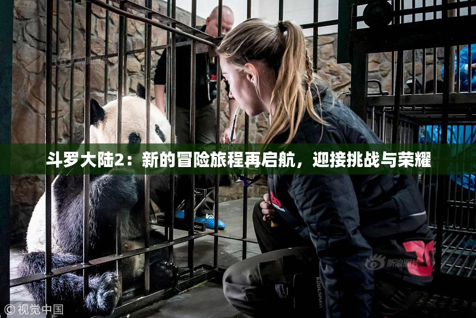 斗罗大陆2：新的冒险旅程再启航，迎接挑战与荣耀