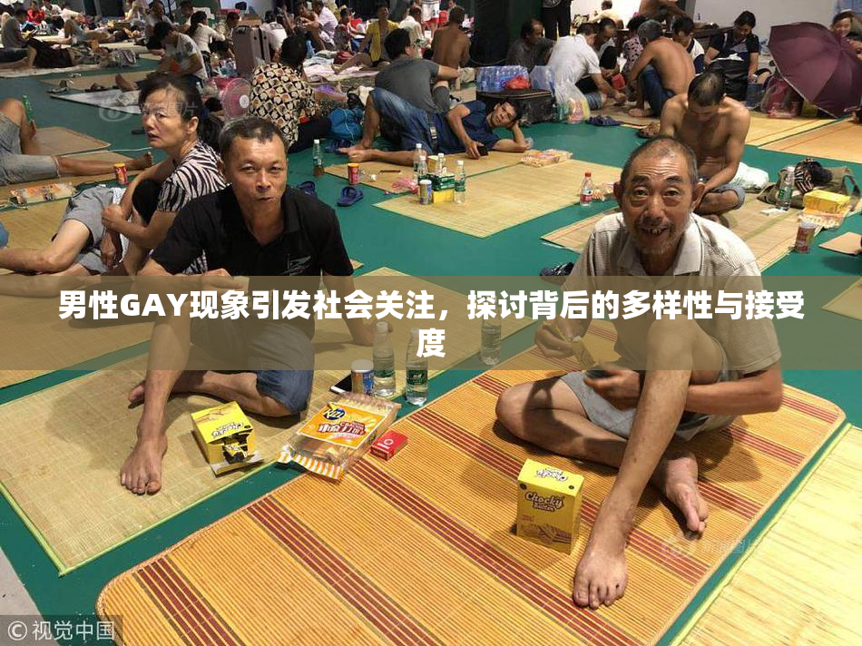 男性GAY现象引发社会关注，探讨背后的多样性与接受度