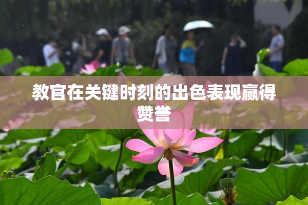 教官在关键时刻的出色表现赢得赞誉