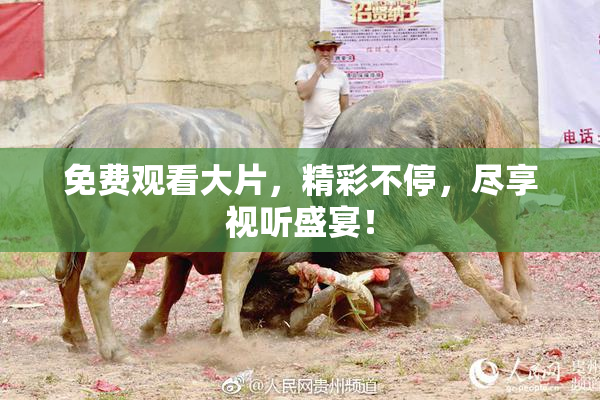 免费观看大片，精彩不停，尽享视听盛宴！