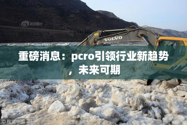 重磅消息：pcro引领行业新趋势，未来可期