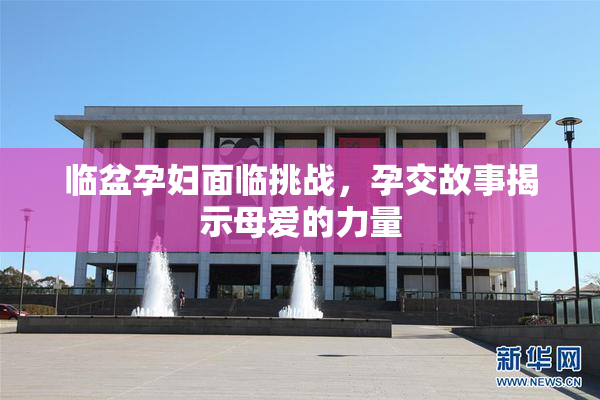 临盆孕妇面临挑战，孕交故事揭示母爱的力量