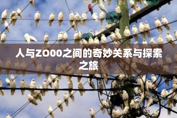 人与ZO00之间的奇妙关系与探索之旅