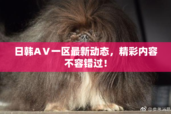 日韩AⅤ一区最新动态，精彩内容不容错过！