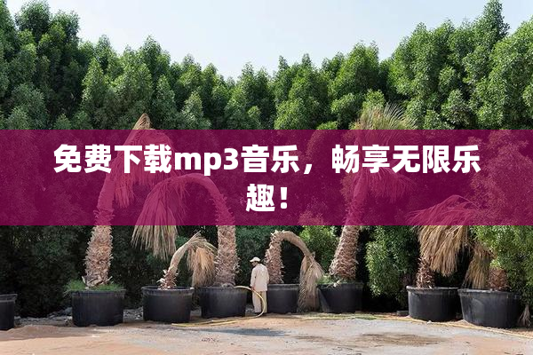 免费下载mp3音乐，畅享无限乐趣！