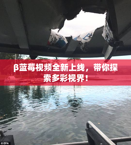 β蓝莓视频全新上线，带你探索多彩视界！