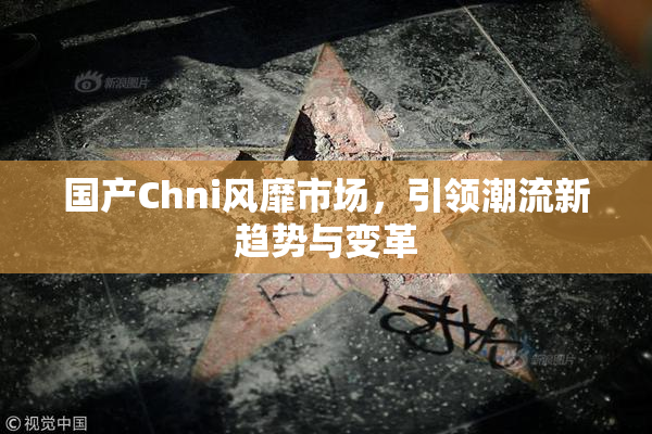 国产Chni风靡市场，引领潮流新趋势与变革