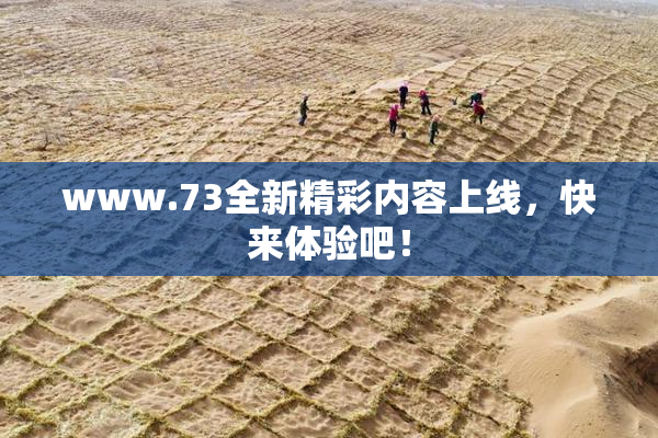 www.73全新精彩内容上线，快来体验吧！