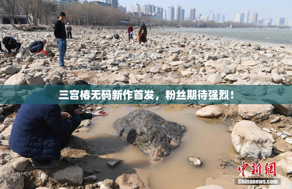 三宫椿无码新作首发，粉丝期待强烈！