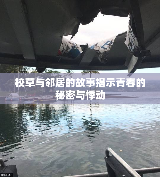 校草与邻居的故事揭示青春的秘密与悸动