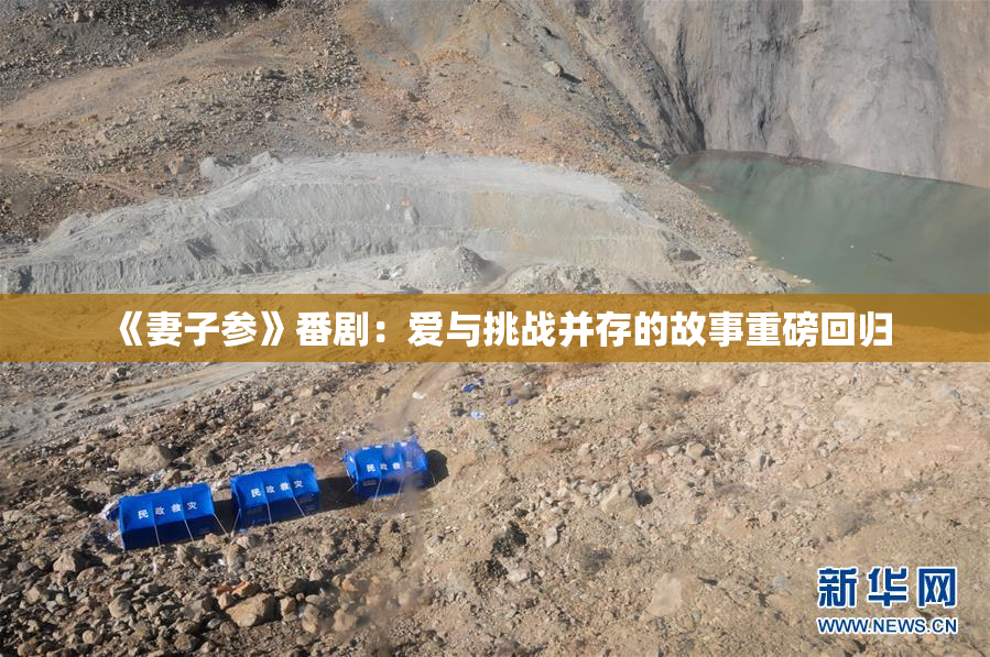 《妻子参》番剧：爱与挑战并存的故事重磅回归