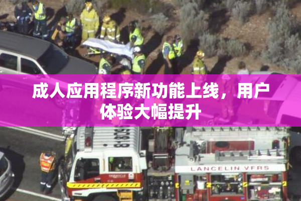 成人应用程序新功能上线，用户体验大幅提升