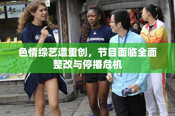 色情综艺遭重创，节目面临全面整改与停播危机