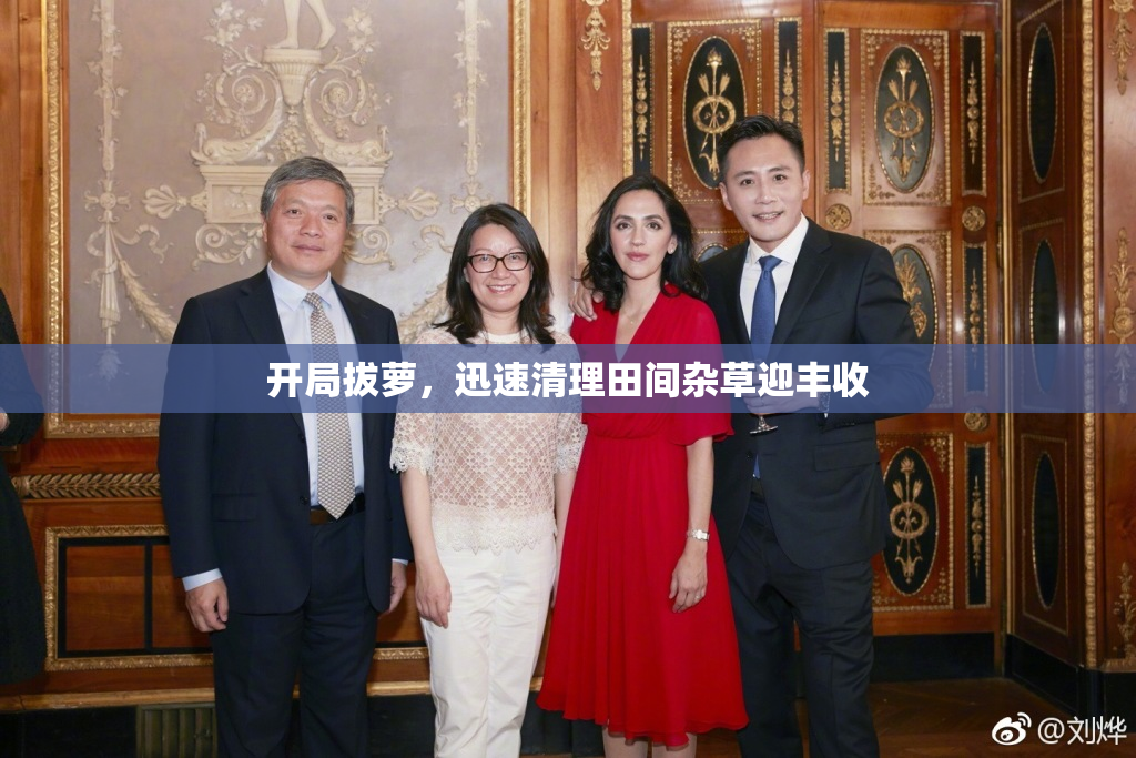 开局拔萝，迅速清理田间杂草迎丰收