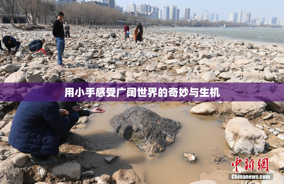 用小手感受广阔世界的奇妙与生机