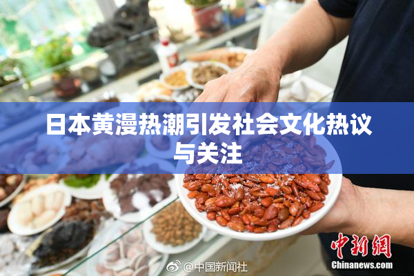 日本黄漫热潮引发社会文化热议与关注