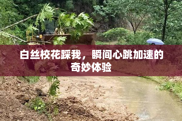 白丝校花踩我，瞬间心跳加速的奇妙体验