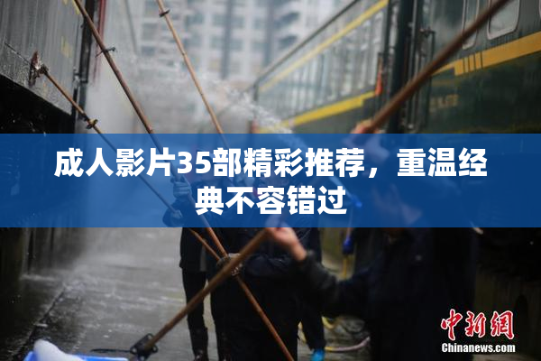 成人影片35部精彩推荐，重温经典不容错过