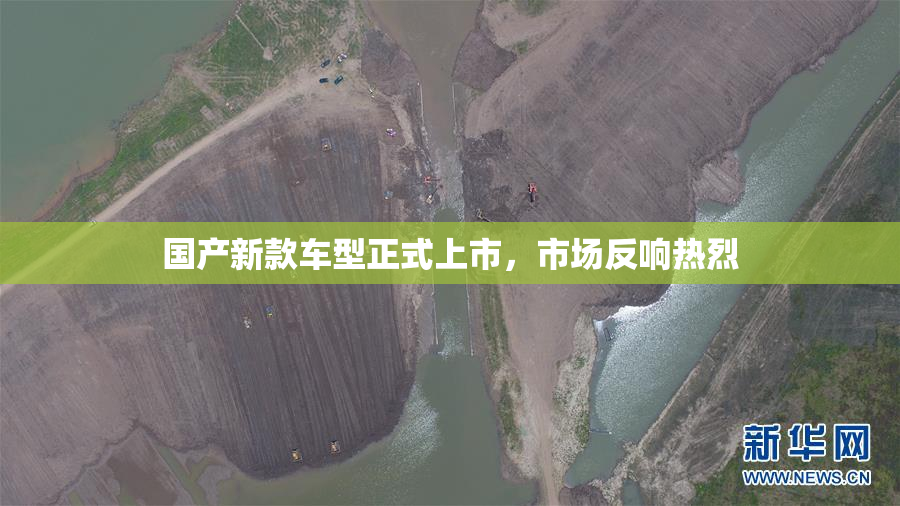 国产新款车型正式上市，市场反响热烈