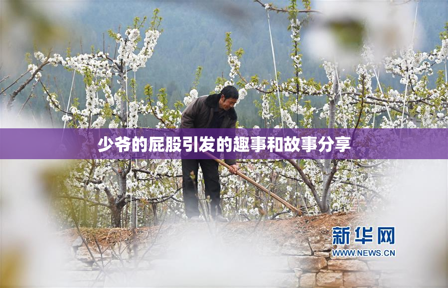 少爷的屁股引发的趣事和故事分享