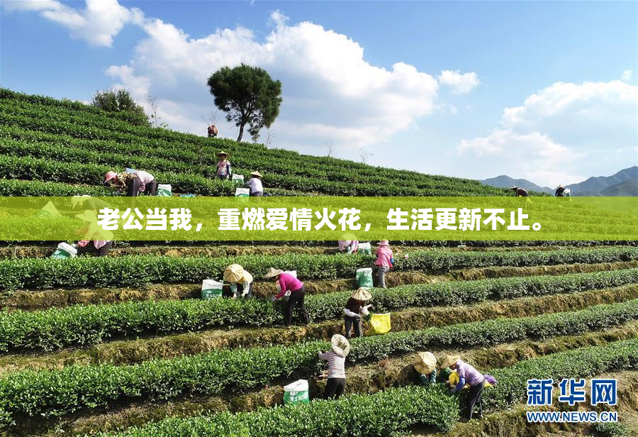 老公当我，重燃爱情火花，生活更新不止。