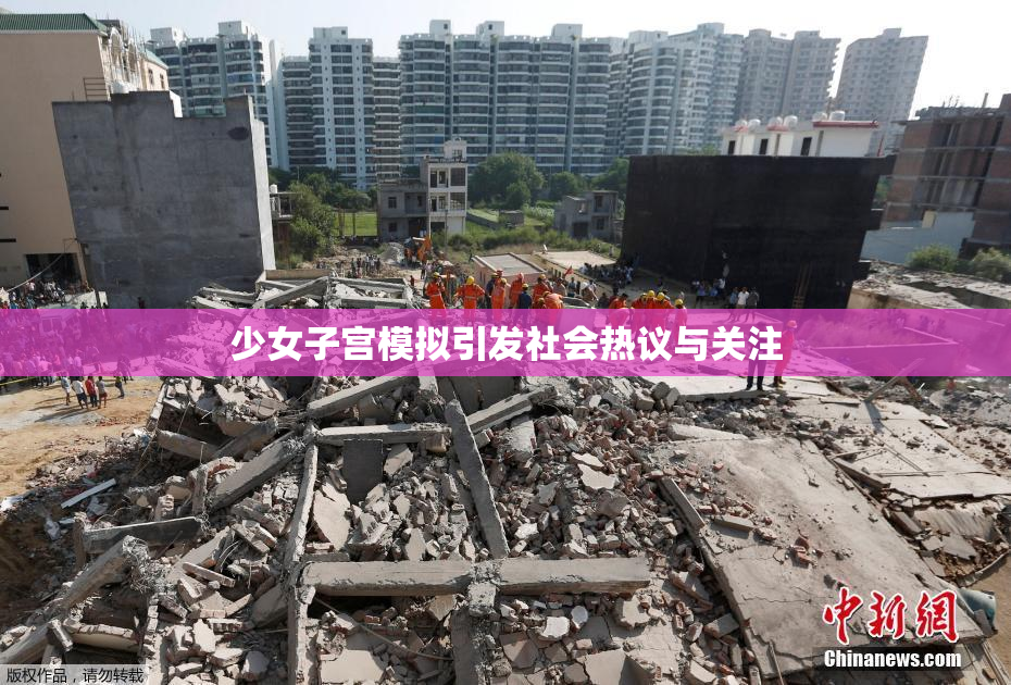 少女子宫模拟引发社会热议与关注