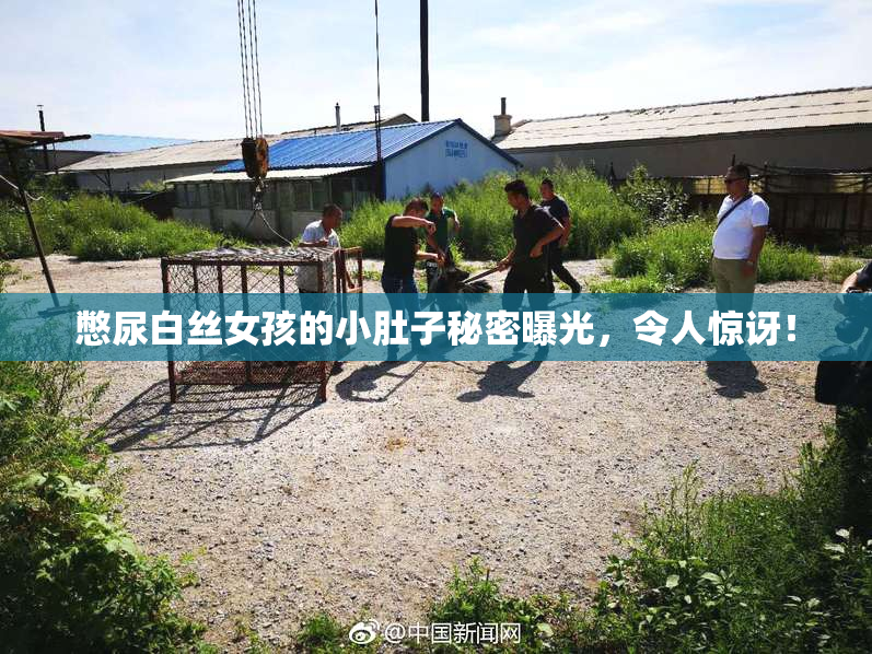 憋尿白丝女孩的小肚子秘密曝光，令人惊讶！