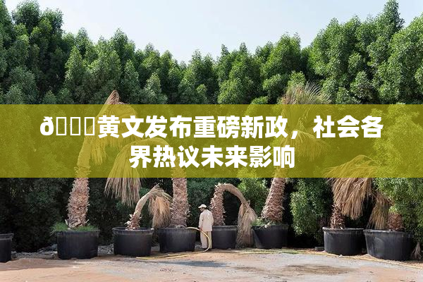 🔞黄文发布重磅新政，社会各界热议未来影响