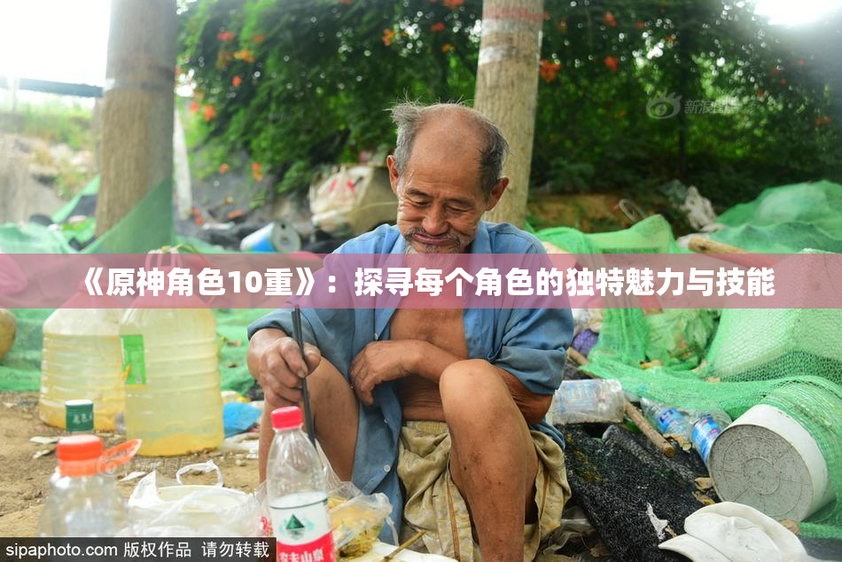 《原神角色10重》：探寻每个角色的独特魅力与技能