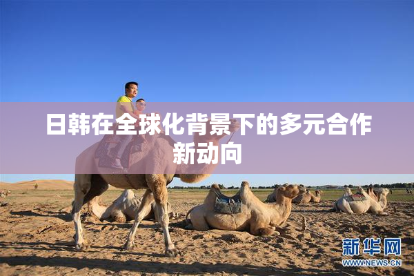 日韩在全球化背景下的多元合作新动向